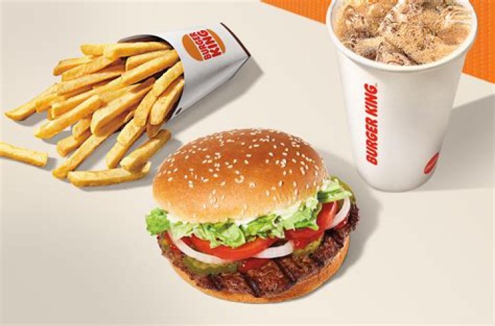 Discovering the Story of the **Burger King Guy on Plane**: What Really Happened?